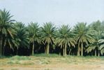 b1.jpg