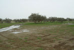 b3938e5507.jpg