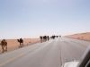 cid_image016.jpg