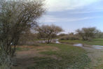 eab766a648.jpg