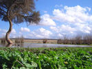 f230696ede2b.jpg