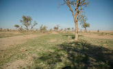 mk1377_attaysyah1.jpg