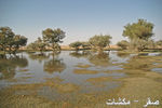 mk1377_bisateen2.jpg