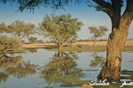 mk1377_bisateen9.jpg