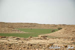 mk1377_hiijeerah5.jpg