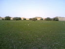 mk14029_5.jpg