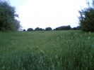 mk14029_rt2.jpg
