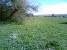 mk14029_talma11.jpg