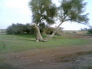 mk14029_wsakh11.jpg