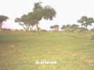 mk1668_mk6440_hskyyyy11hh.jpg