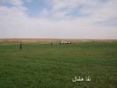 mk2085_aomashar5.jpg