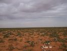 mk2085_saaaaamodah3.jpg