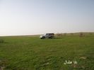 mk2085_shas13.jpg