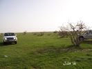 mk2085_shas14.jpg