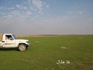 mk2085_shas4.jpg
