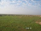 mk2085_shas5.jpg