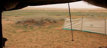 mk2393_umashar1.jpg