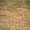 mk2501_resize0dsc00128.jpg