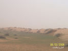 mk3016_sand4.jpg