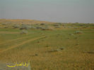 mk3124_pict106.jpg