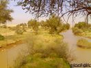 اسم الصورة=mk4467_16122005175.jpg
حجم الملف=44كيلوبايت
الأبعاد=500x375
تاريخ الإضافة=%450 %13, %2006 mk4467_16122005175.jpg