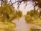 اسم الصورة=mk4467_16122005176.jpg
حجم الملف=35كيلوبايت
الأبعاد=500x375
تاريخ الإضافة=%450 %13, %2006 mk4467_16122005176.jpg