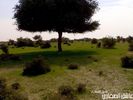 اسم الصورة=mk4467_t1.jpg
حجم الملف=30كيلوبايت
الأبعاد=500x375
تاريخ الإضافة=%450 %13, %2006 mk4467_t1.jpg