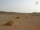 mk7278_s2365.jpg