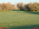 mk8008_187.jpg
