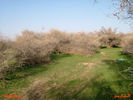 mk8008_406.jpg