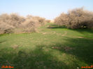 mk8008_408.jpg