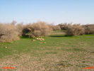 mk8008_413.jpg
