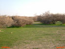 mk8008_415.jpg