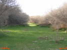 mk8008_417.jpg