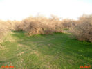 اسم الصورة=mk8008_419.jpg
حجم الملف=68كيلوبايت
الأبعاد=550x413
تاريخ الإضافة=%450 %13, %2006 mk8008_419.jpg