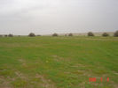 mk9517_562.jpg
