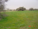 mk9517_564.jpg