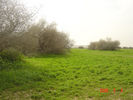 mk9517_569.jpg