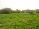 mk9517_570.jpg