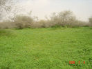 mk9517_571.jpg
