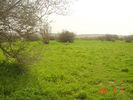 mk9517_579.jpg