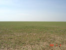 mk9517_614.jpg