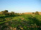 mk9999_image0002.jpg
