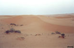 mount04.jpg