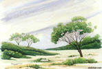 nogaidan10.jpg