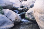 rock.jpg
