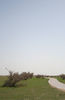 s_s_26-27_18re.jpg