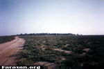 sag6.jpg