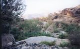 اسم الصورة=tree.jpg
حجم الملف=87كيلوبايت
الأبعاد=603x374
تاريخ الإضافة=%123 %05, %2006 tree.jpg