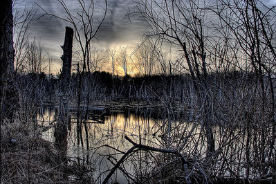 120064604_229869cf26.jpg